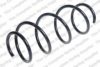 ROC CS8129 Coil Spring
